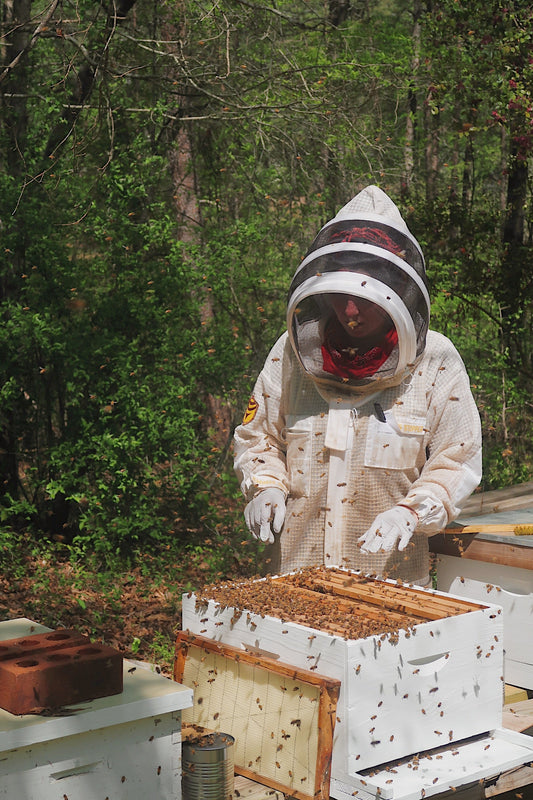 Welcome to our Hive!