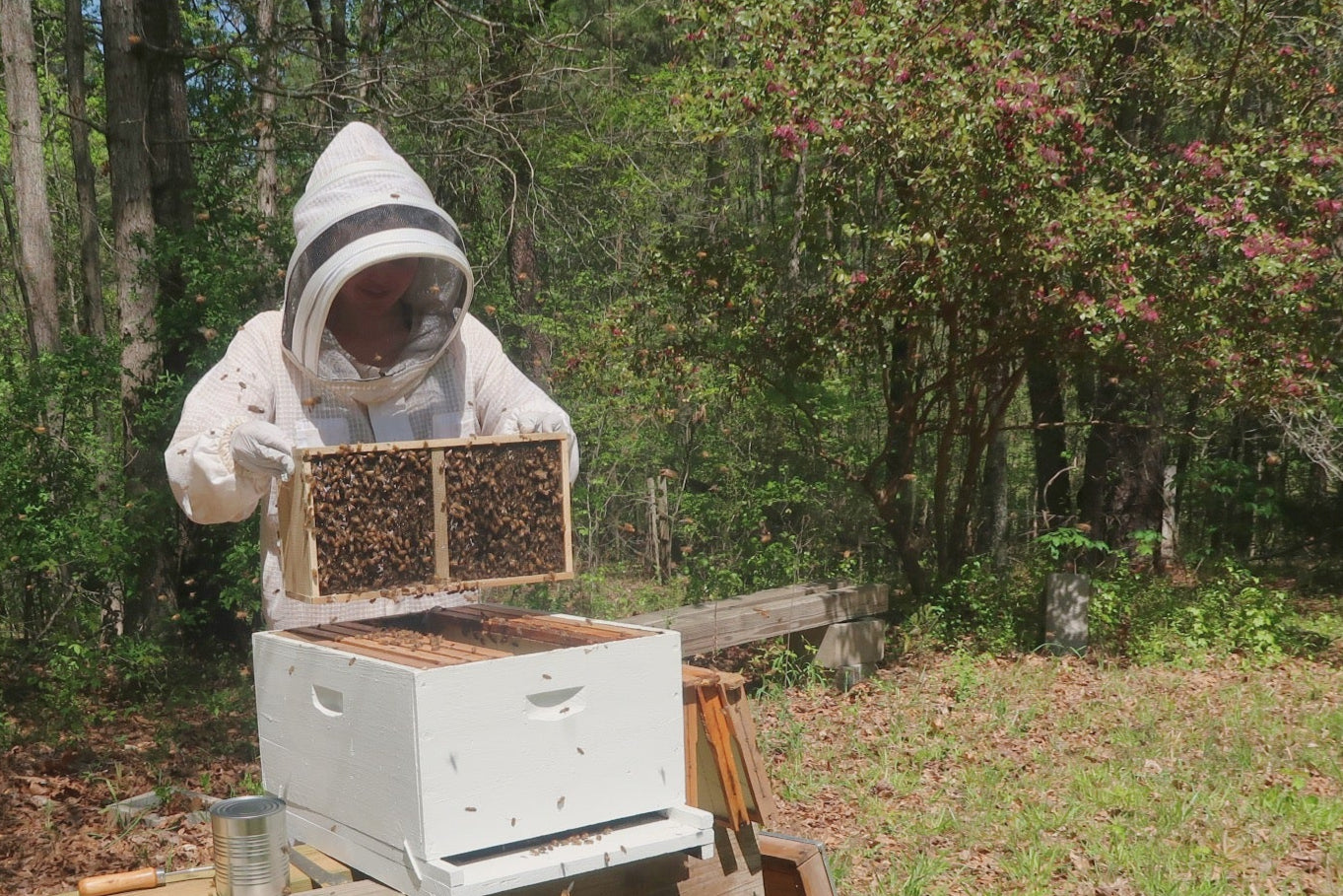 Hive Tour