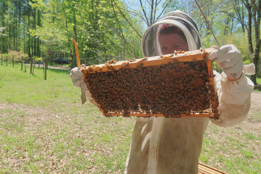 Frequently Asked Questions