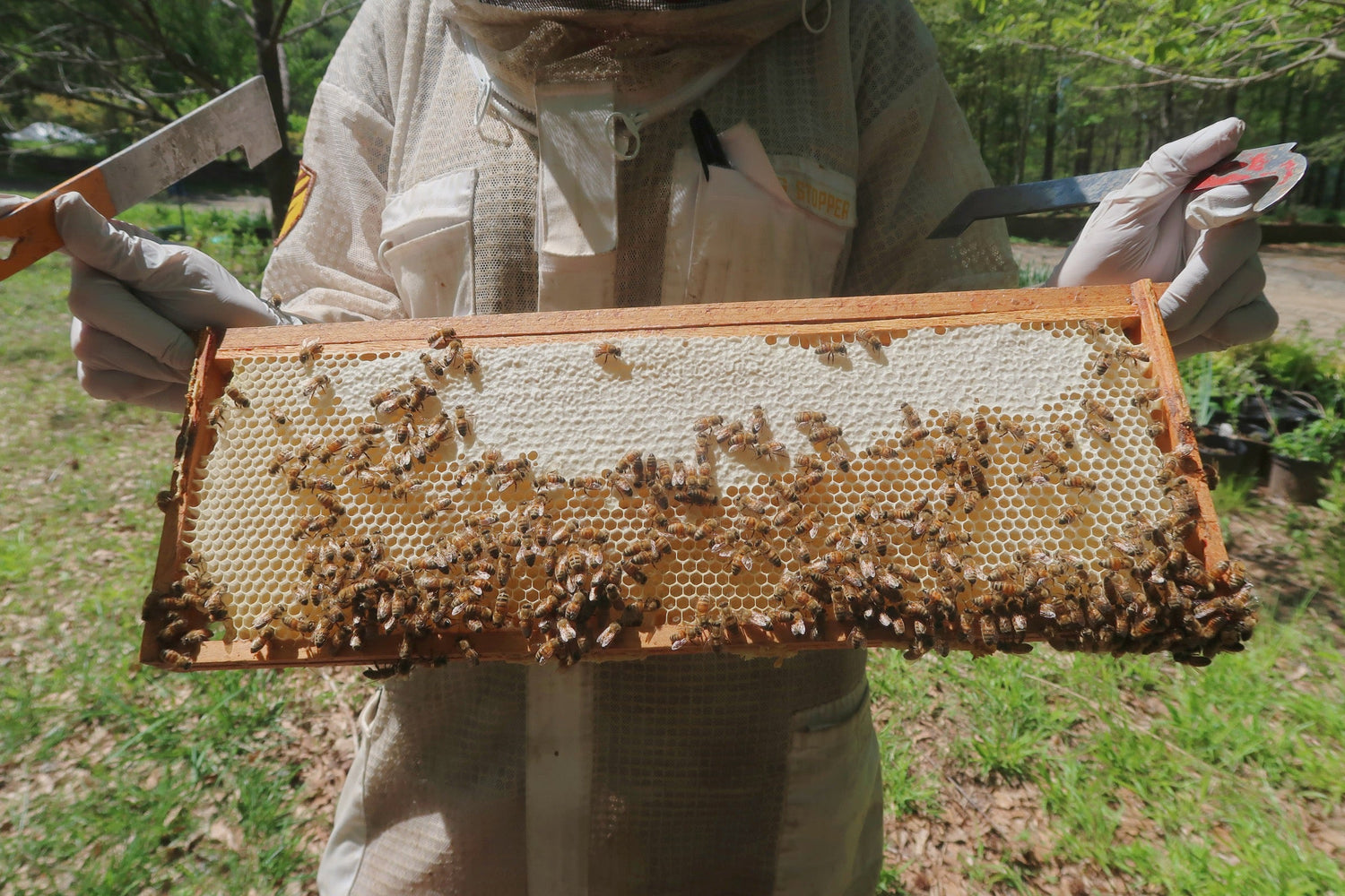 Education & Experiences