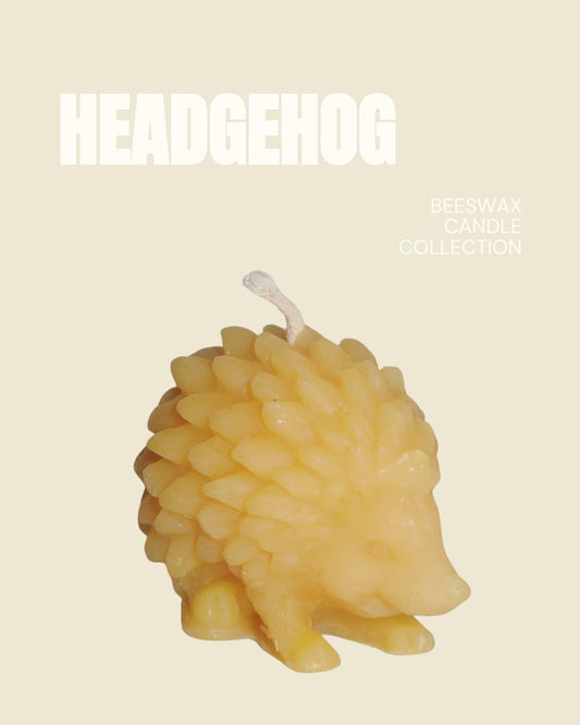 Hedgehog Candle